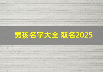 男孩名字大全 取名2025